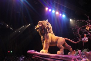 Simba at the Lion King show at Animal Kingdom Florida